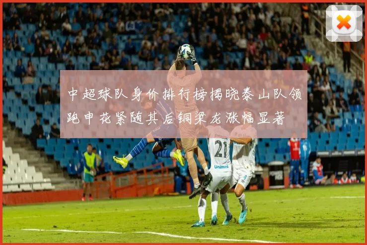中超球队身价排行榜揭晓泰山队领跑申花紧随其后铜梁龙涨幅显著